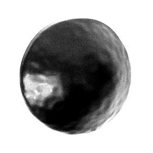 Acorn Mfg Clavos Round 1.62 in. CL9BP - main